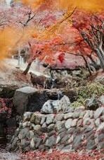 云南澳门赌场-云南与澳门，两地赌场的独特风貌与文化差异