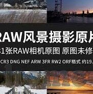 足球比分公司-足球比分公司，绿茵场上的商业竞技场